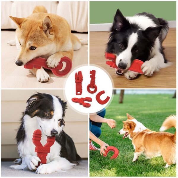 chew toy set for dogs