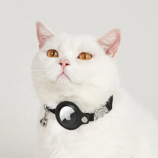 GPS Cat Collar