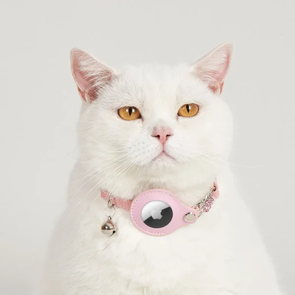 GPS Cat Collar