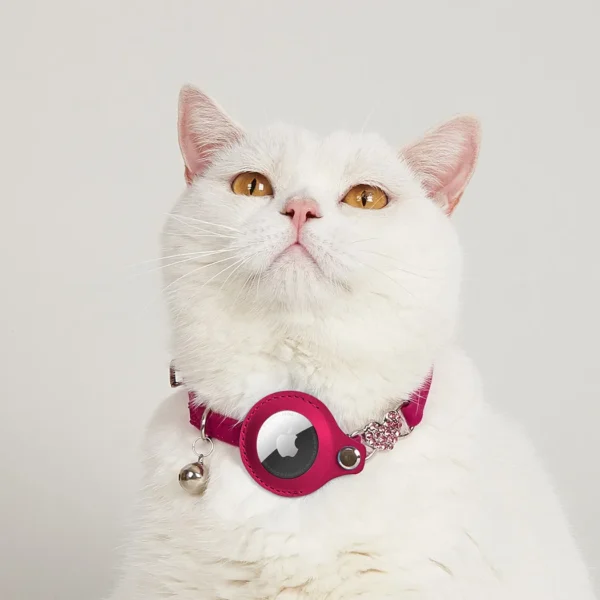 GPS Cat Collar