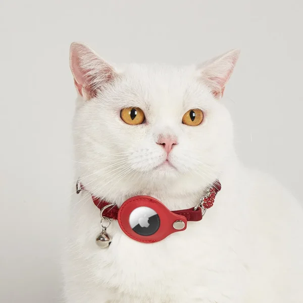 GPS Cat Collar