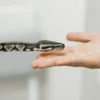 Beginner’s guide to pet snake species and behavior