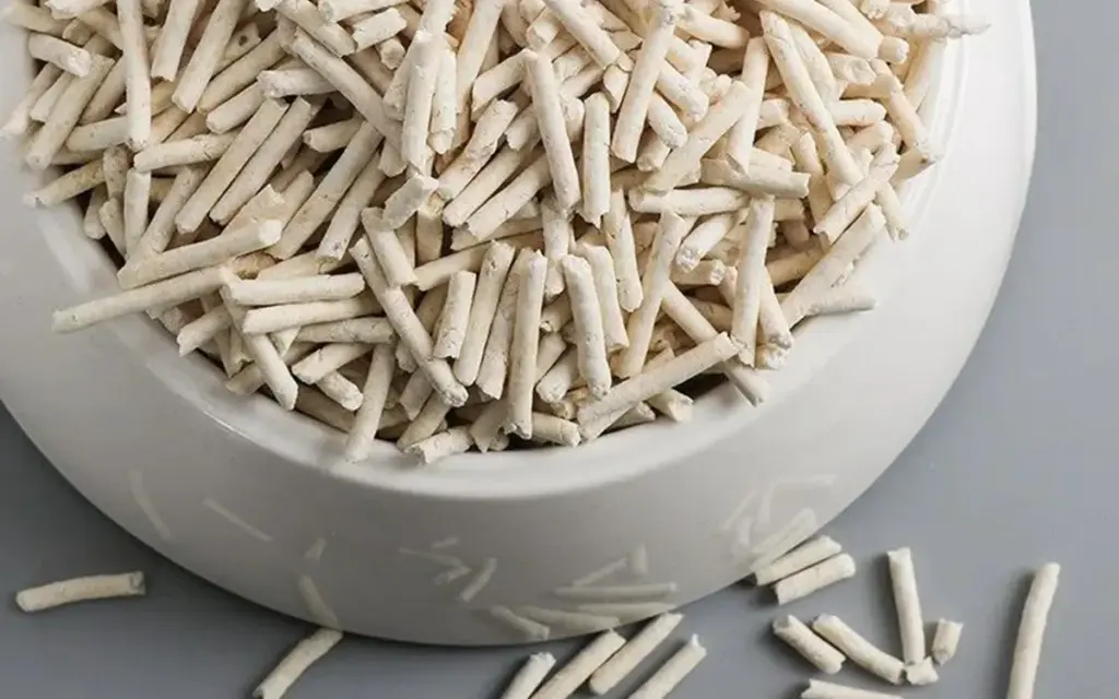 cat-litter-guide-types-differences