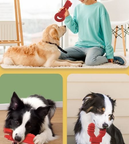 chew toys set